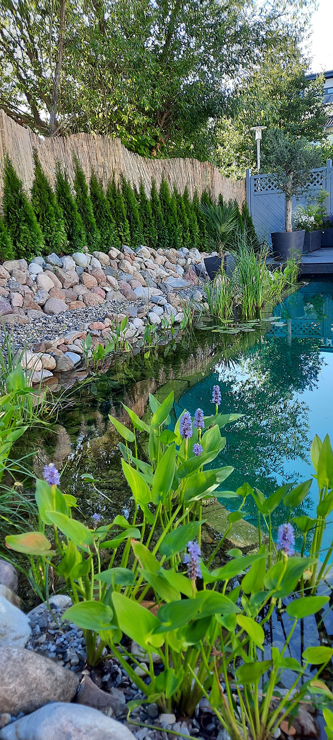 Impressionen Schwimmteiche Teichbau Teichlandschaft hoch
